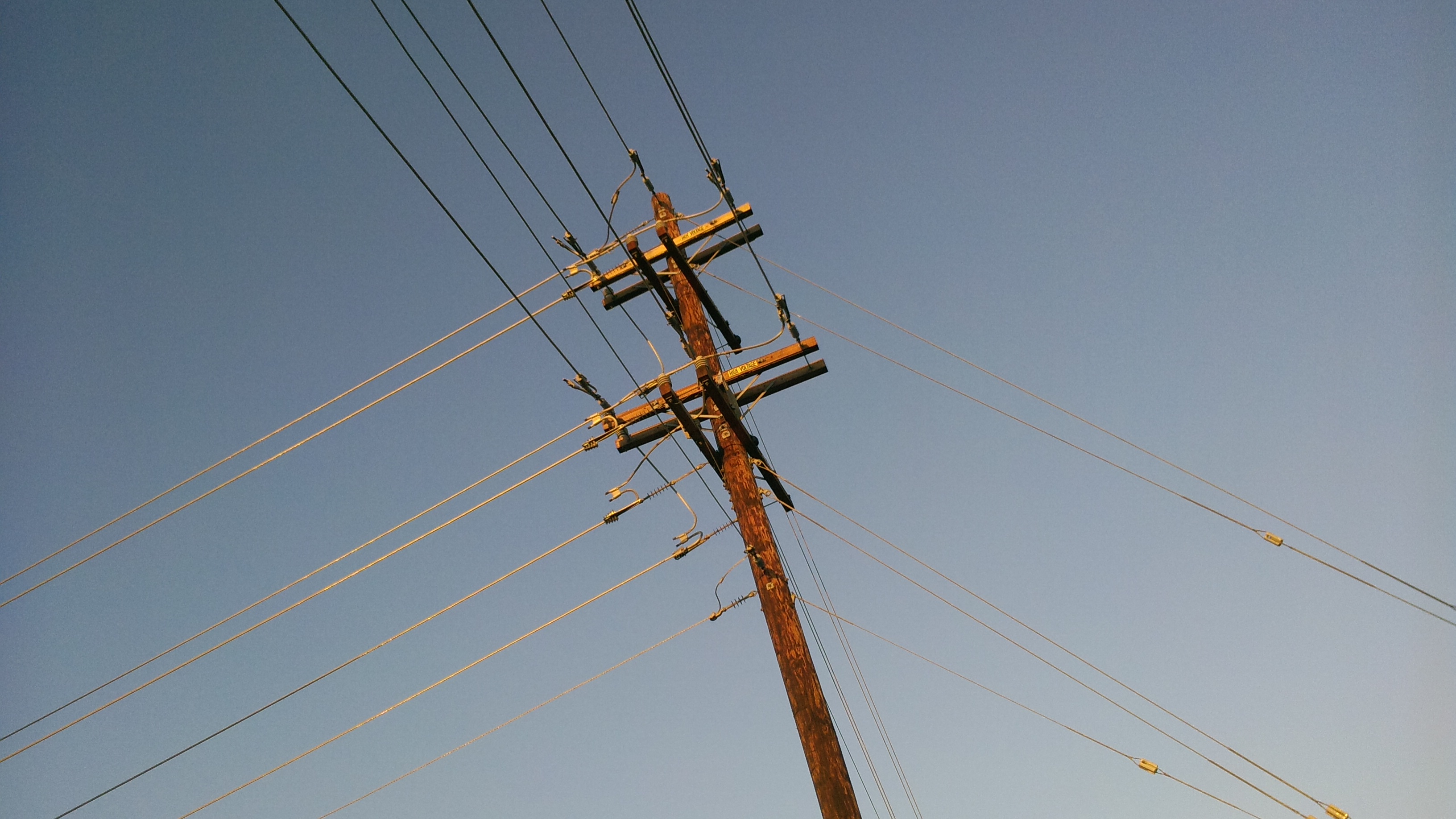 Wooden distribution pole with multiple bare overhead conductors and crossarms
